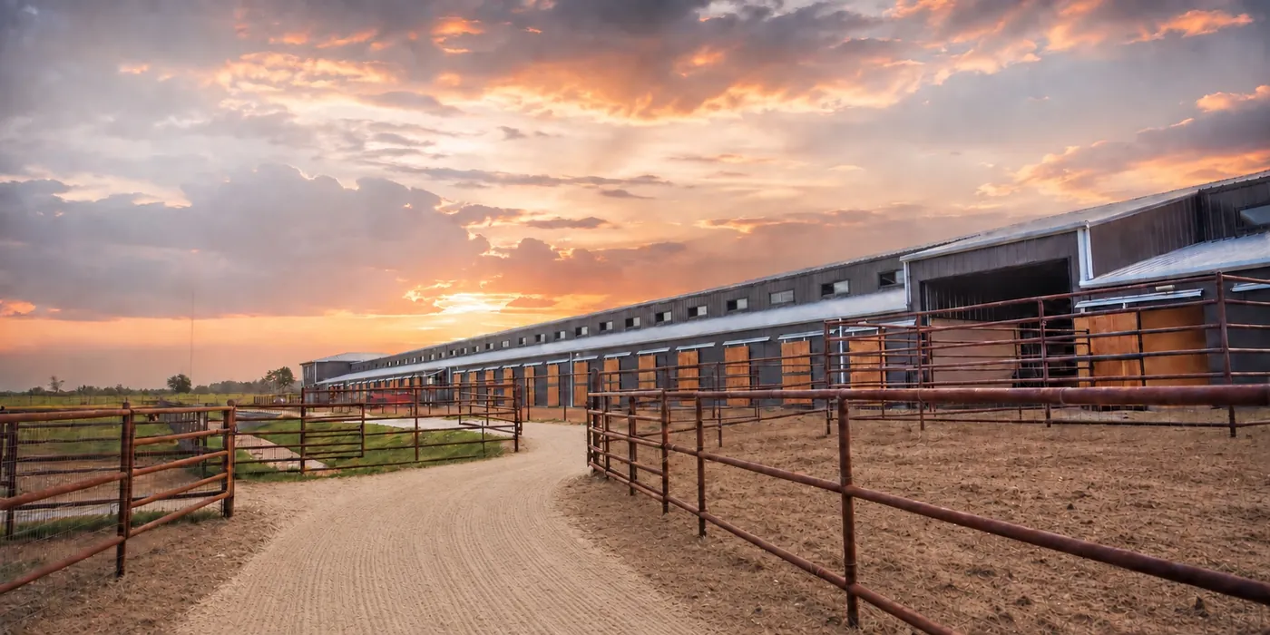The main barn at Franklin Farm at sunset, with a raked gravel path leading past pipe-fenced runs.